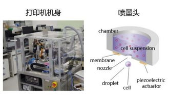 理光集團攜高科技產品進軍醫藥市場，以創新技術驅動醫療行業變革